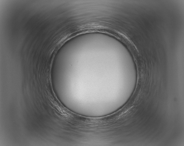 X0000054430873200507290949