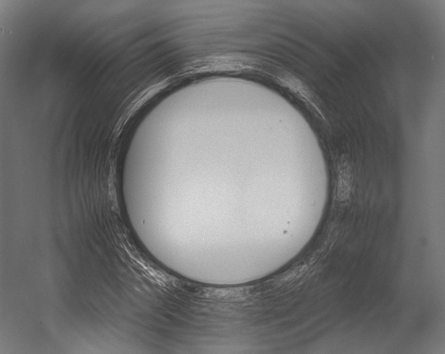 X0000054430874200507290949