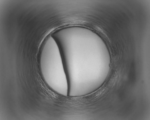 X0000054430875200507290949
