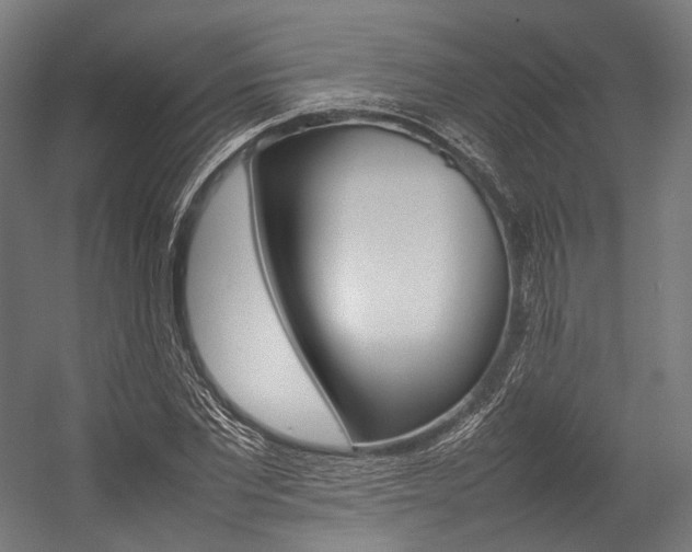 X0000054430877200507290949