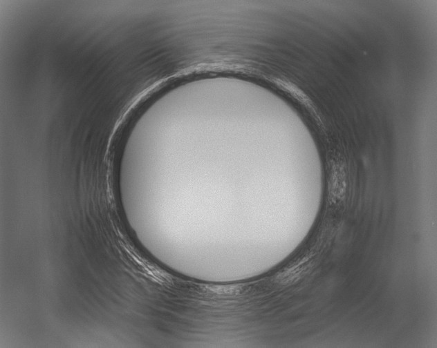 X0000054430878200507290949