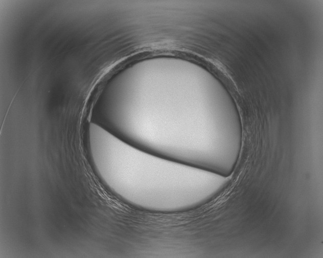 X0000054430879200507290949