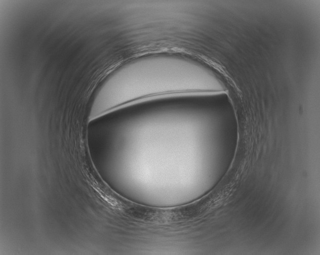 X0000054430881200507290949