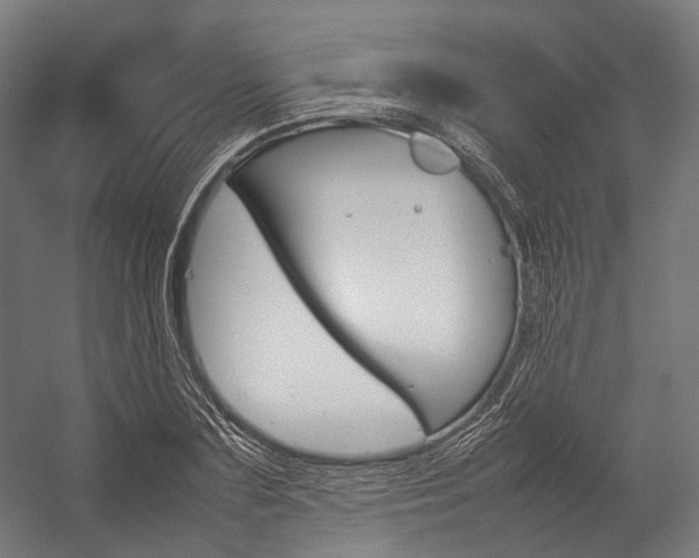 X0000054430883200507290949