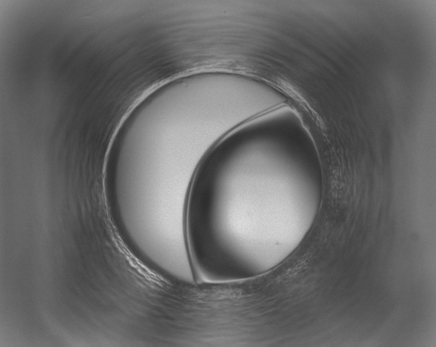 X0000054430884200507290949