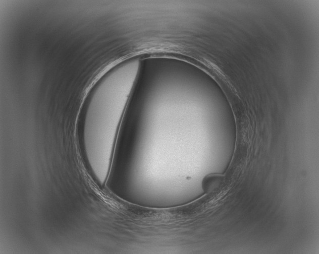 X0000054430885200507290949