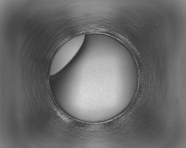 X0000054430889200507290949