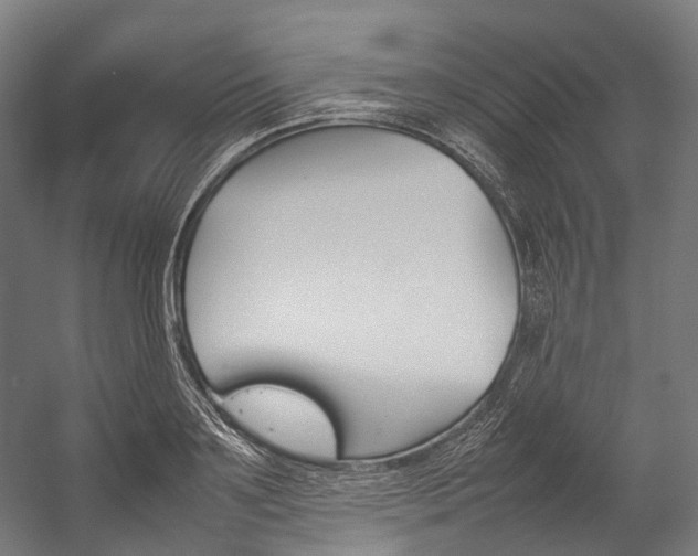 X0000054430891200507290949