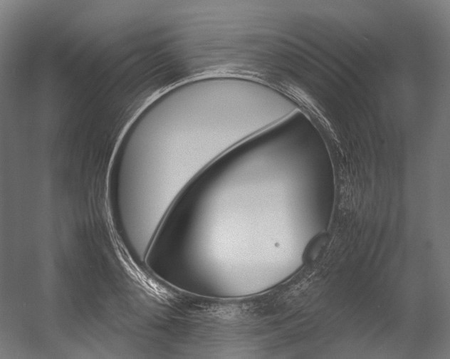 X0000054430892200507290949
