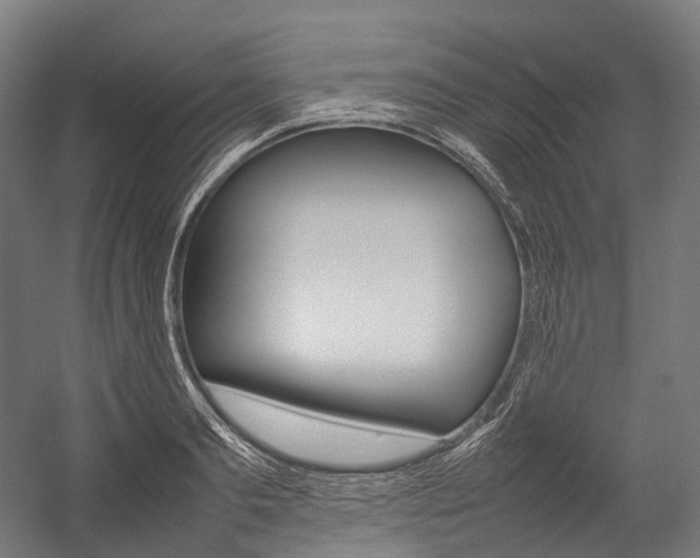 X0000054430893200507290949