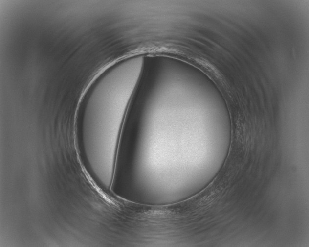 X0000054430894200507290949
