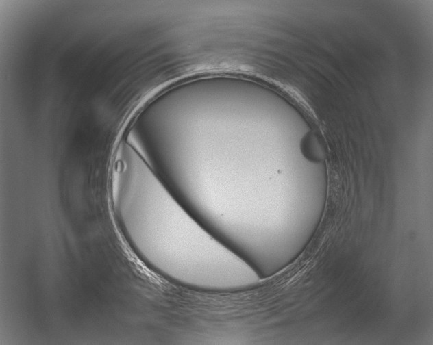 X0000054430895200507290949