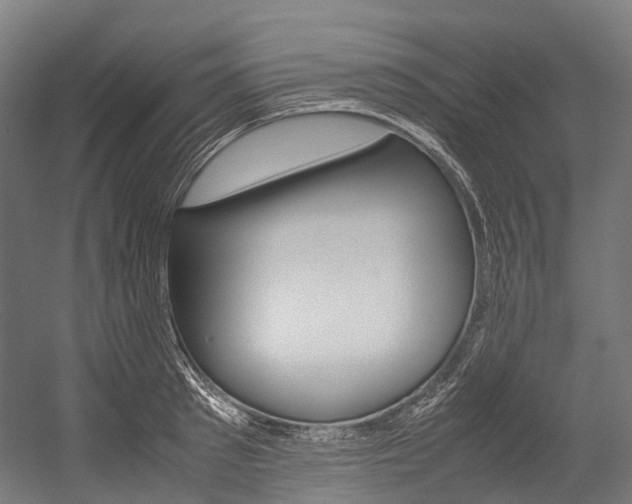 X0000054430897200507290949