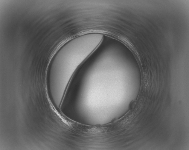 X0000054430898200507290949