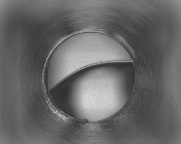 X0000054430900200507290949