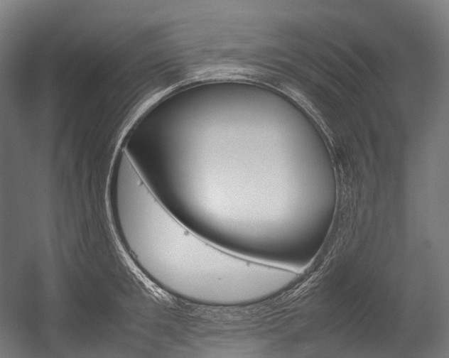 X0000054430901200507290949