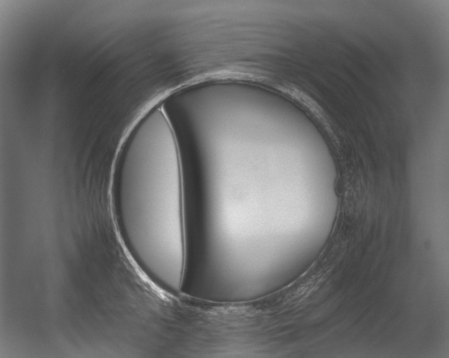 X0000054430902200507290949