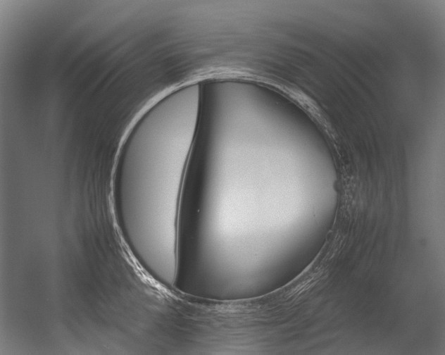 X0000054430904200507290949
