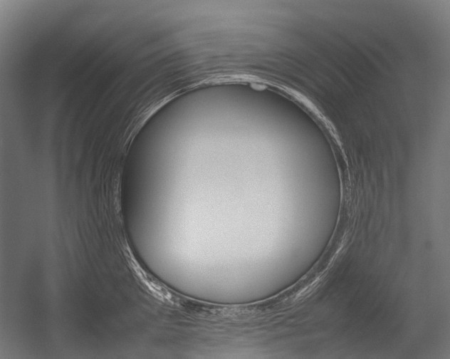 X0000054430905200507290949