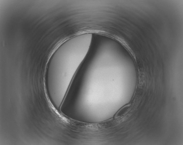 X0000054430906200507290949