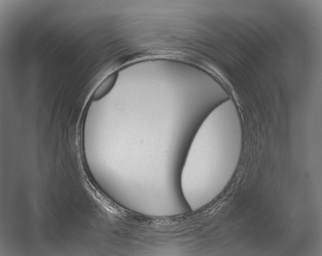 X0000054430907200507290949
