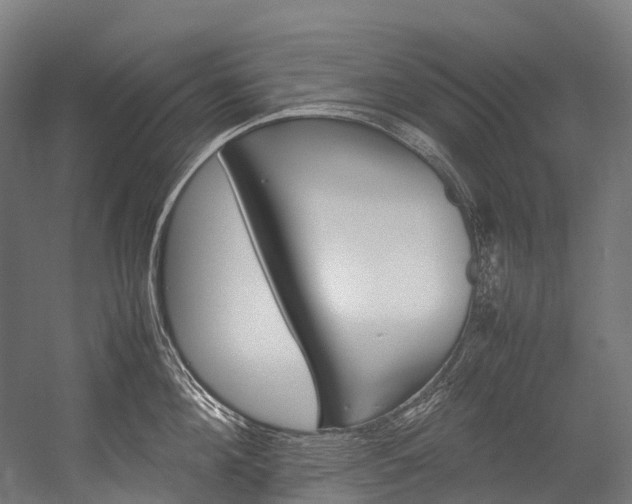X0000054430908200507290949