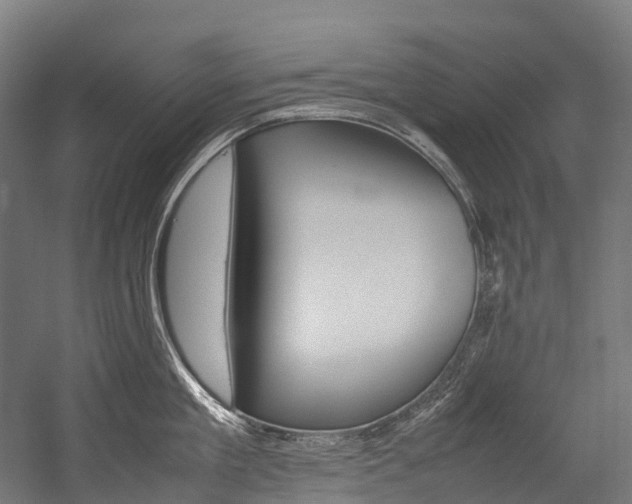 X0000054430909200507290949