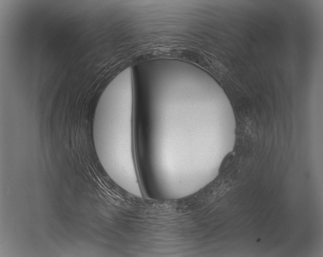 X0000054430914200507290948