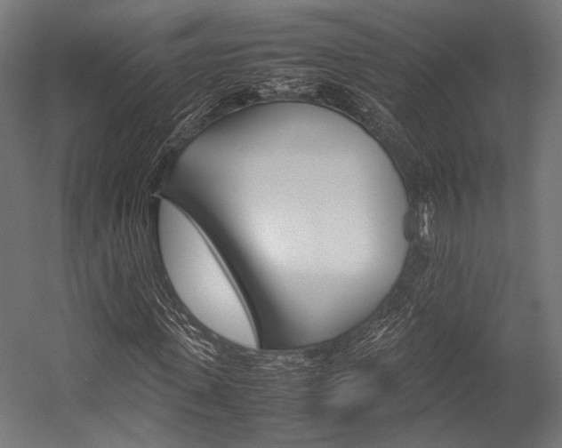 X0000054430915200507290948