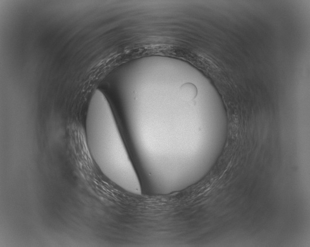 X0000054430917200507290948