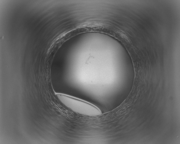 X0000054430920200507290948
