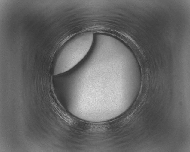 X0000054430921200507290948