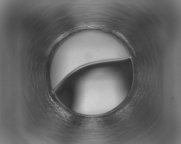 X0000054430922200507290948