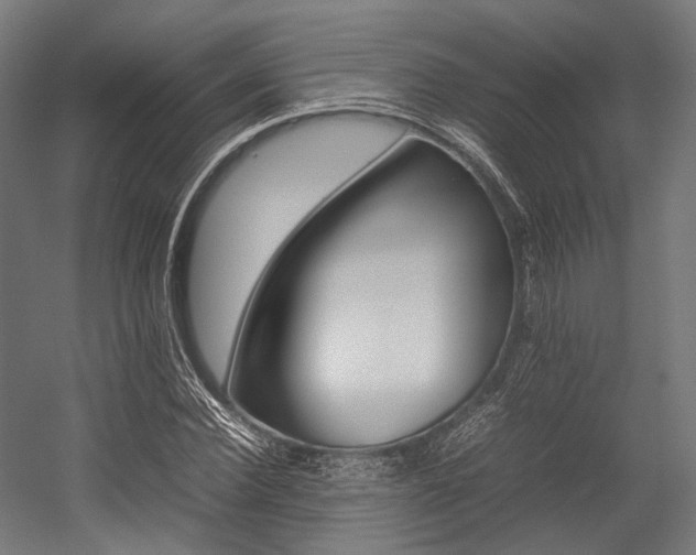 X0000054430924200507290948