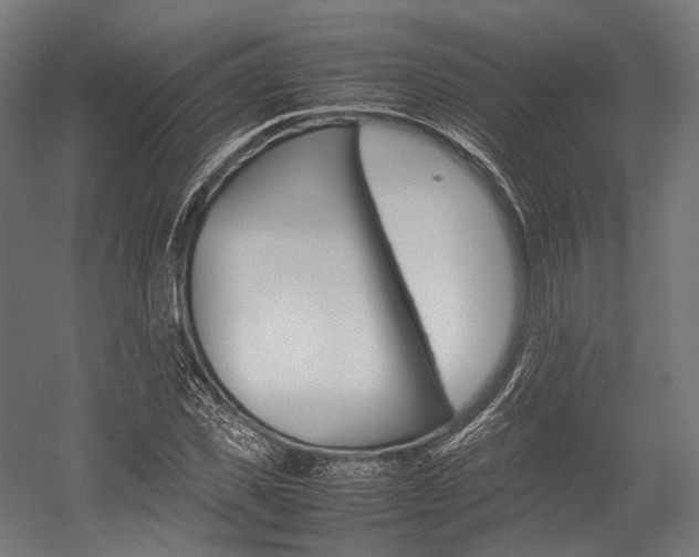 X0000054430925200507290948