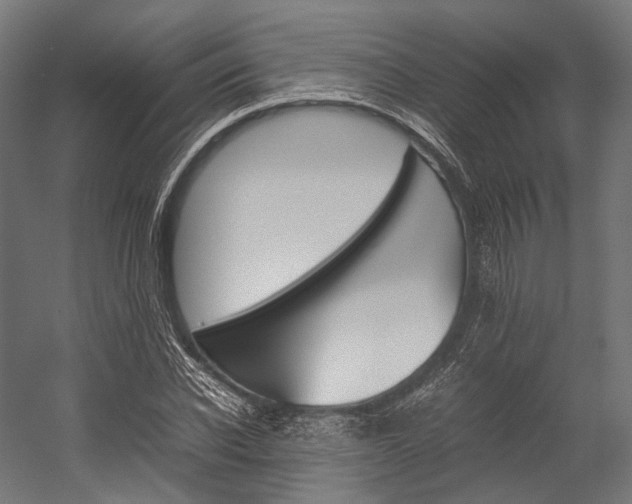 X0000054430926200507290948