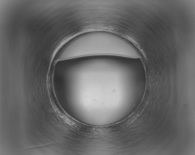 X0000054430928200507290948