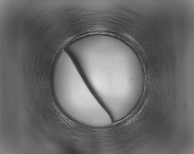 X0000054430929200507290948