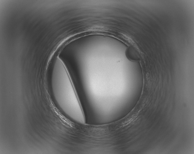 X0000054430931200507290948