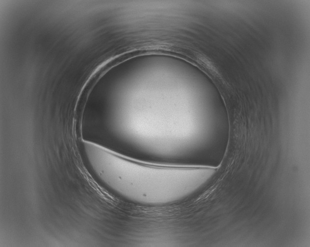 X0000054430932200507290948