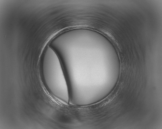 X0000054430933200507290948