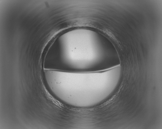 X0000054430934200507290948