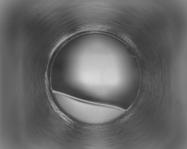 X0000054430936200507290948