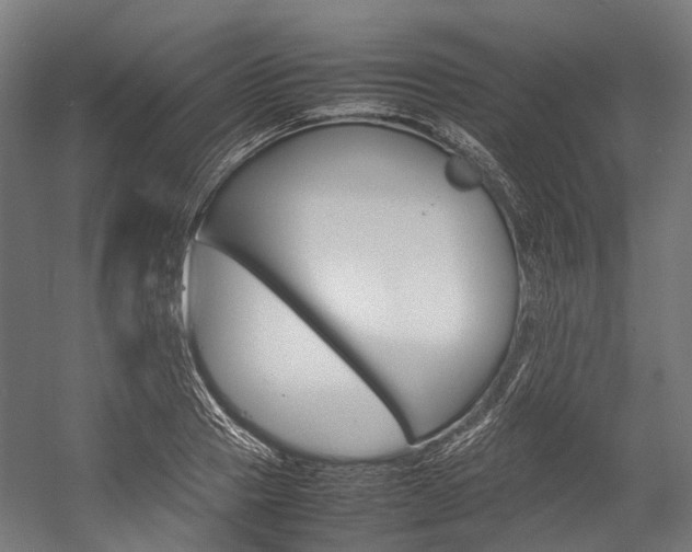 X0000054430937200507290948