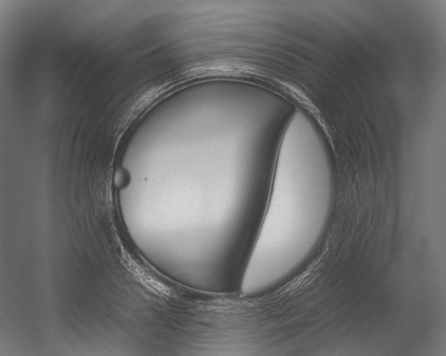 X0000054430938200507290948