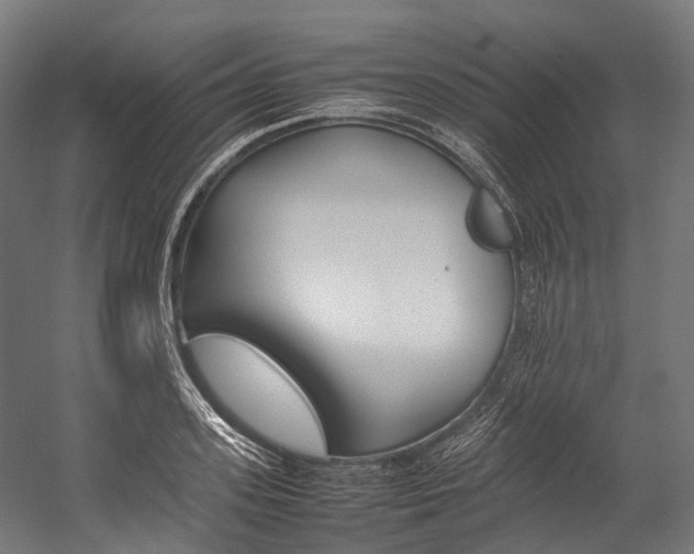 X0000054430939200507290948
