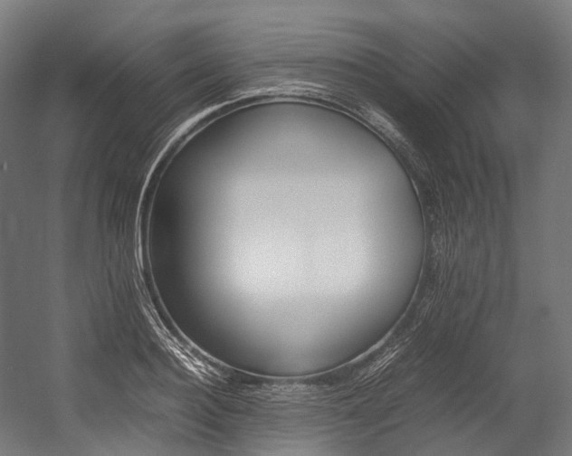 X0000054430940200507290948
