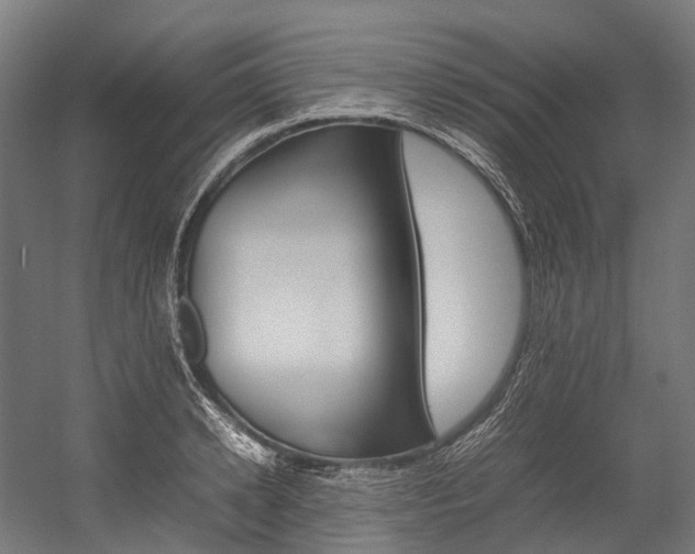 X0000054430942200507290948