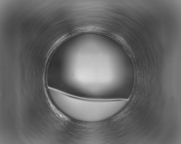 X0000054430946200507290948