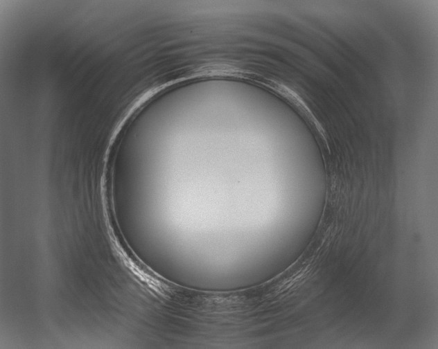 X0000054430947200507290948
